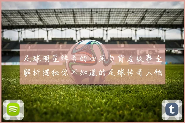 足球明星绰号的由来与背后故事全解析揭秘你不知道的足球传奇人物绰号来源