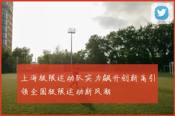 上海极限运动队实力飙升创新高引领全国极限运动新风潮