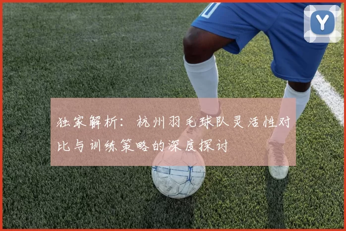 独家解析：杭州羽毛球队灵活性对比与训练策略的深度探讨