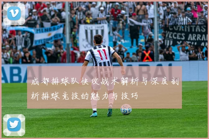 成都排球队快攻战术解析与深度剖析排球竞技的魅力与技巧