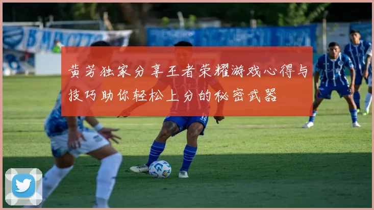 黄芳独家分享王者荣耀游戏心得与技巧助你轻松上分的秘密武器